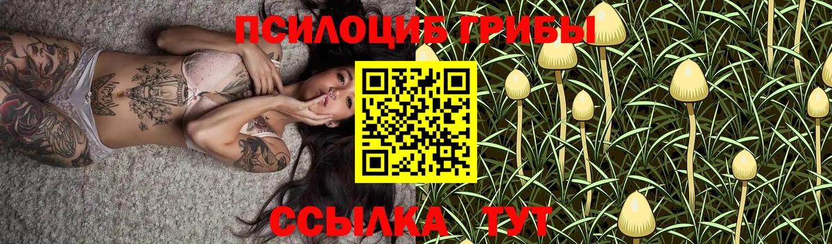 Галлюциногенные грибы GOLDEN TEACHER  Галлюциногенные грибы Magic Shrooms  Вход с VPN  Ливны 